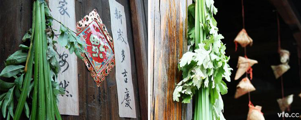 端午習(xí)俗“掛菖蒲插艾葉” 端午習(xí)俗“掛菖蒲插艾葉”