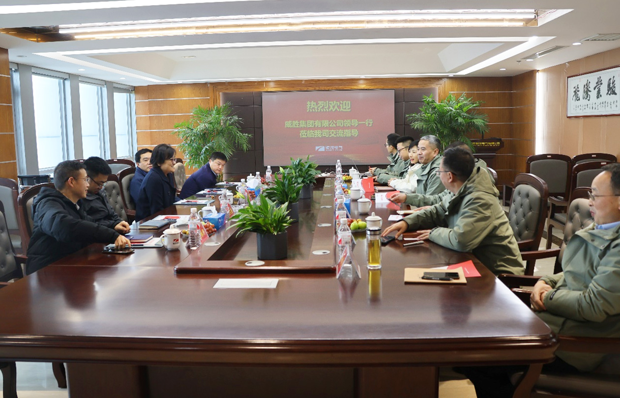 威勝集團(tuán)訪問(wèn)湖南銀河電氣有限公司