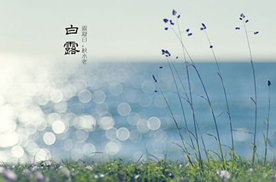 白露降，秋意濃