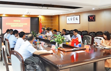 國網(wǎng)電力領(lǐng)導(dǎo)團(tuán)隊(duì)來訪銀河電氣