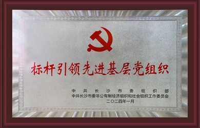 銀河電氣黨支部獲評“標(biāo)桿引領(lǐng)先進(jìn)基層黨組織”